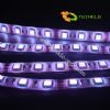 Led Flexible Strips, Led Holiday Light